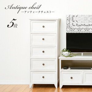 5i `FXg i t`Jg[ rt  \y ^X ߗގ[ rO [ Ƌ Pn  1l炵 [Ƌ Vr[Ebh AeB[N AeB[NzCg I JtF 