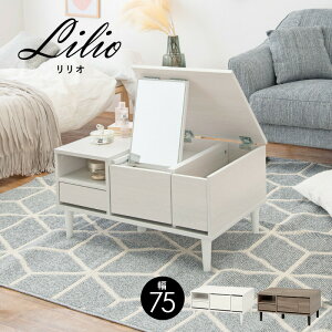 Z^[e[u RXe[u hbT[ ~[t [fXN [^Cv 75cm [e[u 2WAY [ fXN Pn RpNg ~jhbT[ ʋ  ϑ tF~j 