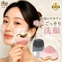 楽天市場】洗顔器の通販