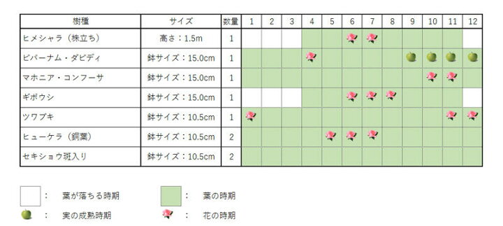 楽天市場 ヒメシャラセット２ ヒメシャラ 株立ち 樹高約1 5m ビバーナムダビディ 15cmポット マホニアコンフーサ 15cmポット ギボウシ 15cmポット ツワブキ 10 5cmポット ヒューケラ銅葉 10 5cmポット セキショウ斑入り 10 5cmポット 庭木 植栽セット
