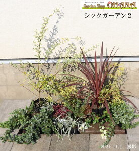 VbNK[f2@@RfBl/RWl@Vo[vybg@tBtFEI[A@u[pVtBbN@q[Pt@ mVErb^[^X@ncLJY@[Y