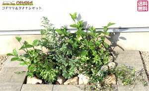 Rf}N`iVZbg@@@Rf}(15cm|bg) N`iV() NX}X[Y(10.5cm|bg) ncLJY(9cm|bg) tbL\E(9cm|bg) ؁EA̓Zbg