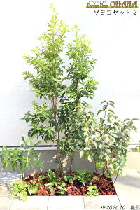 \SZbg2@@@\S (1.5m) Y񂹊 nNT{N(18cm|bg) @ZE(10.5cm|bg) @LmV^(10.5cm|bg) @V_ExjV_(12cm|bg) ؁EA̓Zbg