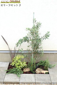 I[uZbg3@@ I[u(1.5m) j[TCt(15cm|bg) AxAEz[vCY(15cm|bg) u[pVtBbN(15cm) [Y}[(10.5cm|bg) ^C(9cm|bg) ؁EA