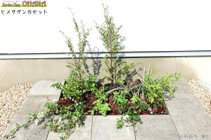 qTUJZbg@@qTUJ(0.8m) qEcM(0.4m) mVErb^[^X(12cm|bg) ncLJY(9cm|bg) tbL\E(9cm|bg) ؁EA̓Zbg