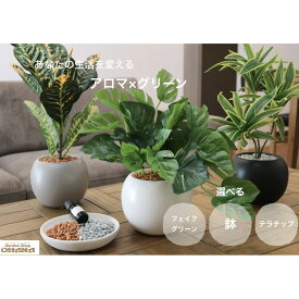 アロマオイル1本プレゼント！　アロマグリーン　半永久的新感覚リラックスアイテム　選べる植物×鉢色×チップ色　　フェイクグリーン　陶器鉢　インテリアグリーン　癒し　集中力アップ　おしゃれ　リビング　オフィス　洗面　玄関　観葉植物　卓上　小型　SNS映え　ギフト