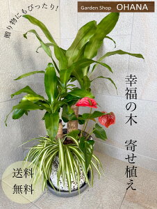 K̖؁@񂹐A@@8@AXE@hZi@ϗtA@ԃMtg@jMtg@ϗtMtg@JXj@JƏj@ACj@ij@Vzj@@l@픫@