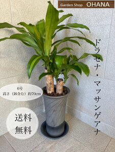 K̖؁@hZi }bTQAi@6@픫@󂯎Mt@ϗtA@CeA@̓@̓@hV̓@a@ϗtMtg@jMtg@@t@Vv@