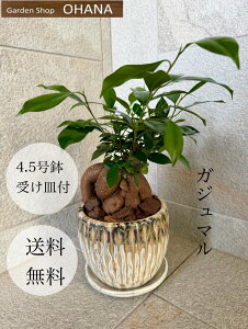 lCKW}@4.5@픫@󂯎Mt@@CeA@̓@̓@hV̓@a@ԃMtg@ϗtMtg@jMtg@@t@Vv@_@