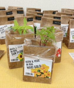 n[uxW@C obO@͔|Lbg 18 HERB & VEGE IN BAG