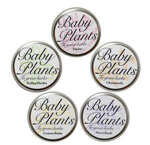 xr[vc@ȏȏȃn[u͔|Zbg NEW