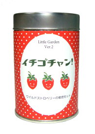 リトルガーデンVer．2　イチゴチャン　ワイルドストロベリー 栽培キット