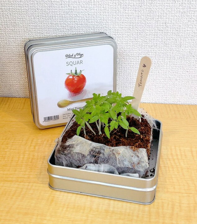 楽天市場】ハーブ&ベジ スクエア 栽培 セット キット 家庭菜園 食育 キッチン栽培 ハーブ 野菜 卒園 入園 入学 お祝い 記念日 イベント ギフト プレゼント ノベルティ プチギフト 花 実 種 自由研究 結婚式 ウェディング 二次会 子供会 記念品 粗品 シンプル かわいい :