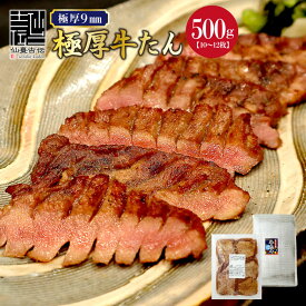 【送料無料】極厚9mm！専門店でも提供しているプロ仕様〔味付け牛タン500g〕仙台名物の味わいをフライパン調理で実現！牛たん 年越し グルメ