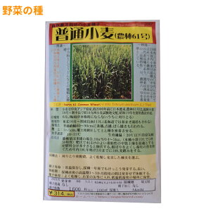 ʏ(_61) ӂނ ̂61 ̎i Norin 61 Common Wheat / Cl Triticum aestivum iL.j Thell. ؂̎ c ̎ ƒ؉ L@͔| K[fjO _ | _