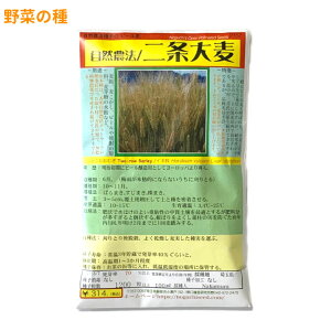 唞 ɂ傤ނTwo-row Barley / Cl Hordeum vulgare L.var. distichon 엿͔|q ̎i ؂̎ c ̎ ƒ؉ L@͔| K[fjO _ | _ ` 