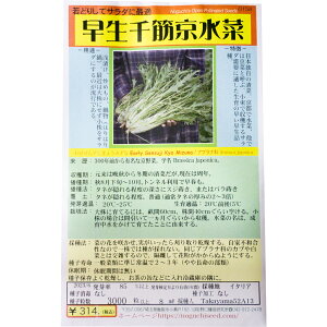 ؋ 킹񂷂傤݂ Early Sensuji Kyo Mizuna / Aui Brassica japonica ؂̎ c ̎ ƒ؉ L@͔| K[fjO _ | _ ` ݗ v