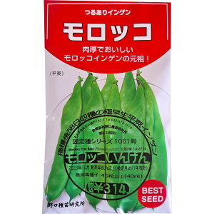 bR񂰂 Morokko Pole Bean / } Phaseolus vulgaris L. ؂̎ c ̎ ƒ؉ L@͔| K[fjO _ | _ ` ݗ v^[ S S |^WF x