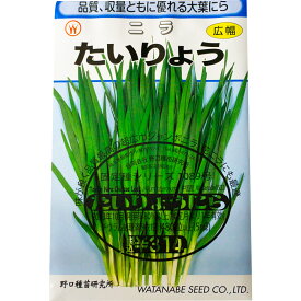 たいりょう（ニラ）種子消毒あり 国内採種品 Tairyo Chinese Chive, Chinese Leek / ヒガンバナ科 Allium tuberosum 野菜の種 野口種苗 野口の種 家庭菜園 有機栽培 ガーデニング 農業 園芸 無農薬 伝統野菜 在来種 プランター 安心 安全 ポタジェ ベランダ園芸