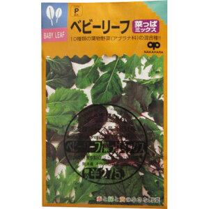 xr[[t/؂σ~bNX Ȃς݂ Baby Leaf Brassica Mix ؂̎ c ̎ ƒ؉ L@͔| K[fjO _ | _ ` ݗ v^[ S S |^W