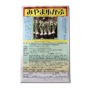 ݂܏ ̎i Miyama Kokabu Turnip / Aui Brassica rapa ؂̎ c ̎ ƒ؉ L@͔| K[fjO _ | _ ` ݗ v^[ S S |^