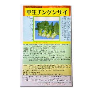 `QTC ȂĂ񂰂񂳂 Mid Green pak choi / Aui Brassica rapa (chinensis) ؂̎ c ̎ ƒ؉ L@͔| K[fjO _ | _ ` ݗ v