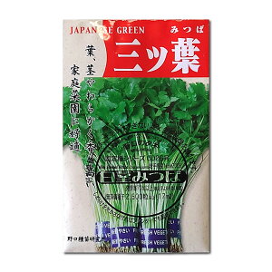 Ot ̎i ݂ White-stemmed Mitsuba / Z Cryptotaenia japonica Hassk. ؂̎ c ̎ ƒ؉ L@͔| K[fjO _ | _ ` ݗ v^[ S 