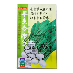 s 킹܂ Early Imaichi Turnip / Aui Brassica rapa ؂̎ c ̎ ƒ؉ L@͔| K[fjO _ | _ ` ݗ v^[ S 