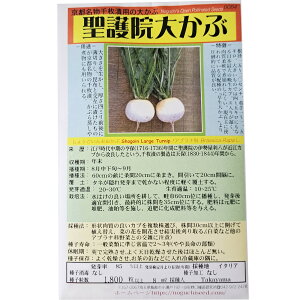 @傩 傤񂨂 Shogoin Large Turnip / Brassica Rapa.L ؂̎ c ̎ ƒ؉ L@͔| K[fjO _ | _ ` ݗ v^[ S S |^