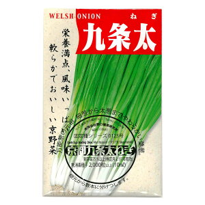 s𑾔K 傤Ƃ傤ӂƂ˂ Kyoto Kujo Bunching Onion / qKoi Allium fistulosum ؂̎ c ̎ ƒ؉ L@͔| K[fjO _ | _ ` ݗ v