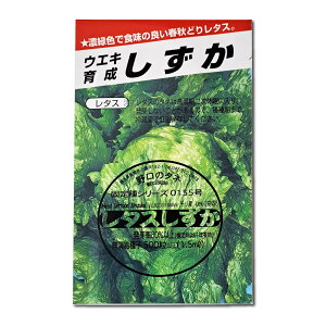 ^X Shizuka Head Lettuce / LN Lactuca sativa ؂̎ c ̎ ƒ؉ L@͔| K[fjO _ | _ ` ݗ v^[ S S |^WF x_