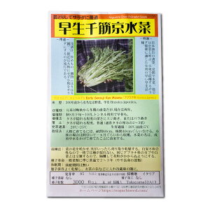 ؋ 킹񂷂傤݂ Early Sensuji Kyo Mizuna / Aui Brassica japonica ؂̎ c ̎ ƒ؉ L@͔| K[fjO _ | _ ` ݗ v