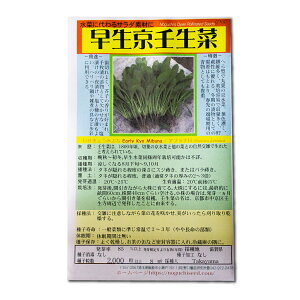 p ̎i 킹傤݂Ԃ Early Kyo Mibuna / Aui Brassica Japonica ؂̎ c ̎ ƒ؉ L@͔| K[fjO _ | _ ` ݗ v^