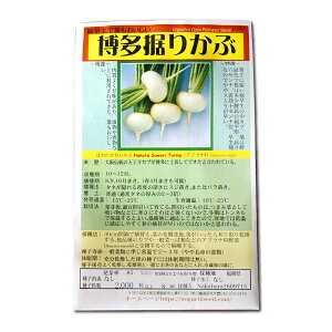 肩 ͂肩 ̎i Hakata Suwari Turnip / Aui Brassica rapa ؂̎ c ̎ ƒ؉ L@͔| K[fjO _ | _ ` ݗ v^