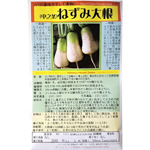iVj˂ݑ卪 Ȃ̂傤˂݂ Nakanojo Nezumi Daikon / Aui Raphanus sativus L. ̎i ؂̎ c ̎ ƒ؉ L@͔| K[fjO _ | _ 