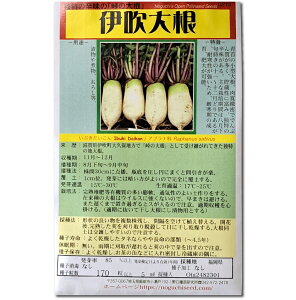 ɐ卪 Ԃ ̎i Ibuki Daikon / Aui Raphanus sativus ؂̎ c ̎ ƒ؉ L@͔| K[fjO _ | _ ` ݗ v^[ S 