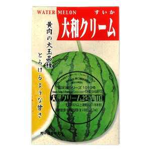 aN[Z ̎i ܂Ƃ[ނ Yamato Cream Watermelon / E Citrullus lanatus ؂̎ c ̎ ƒ؉ L@͔| K[fjO _ | _ ` ݗ