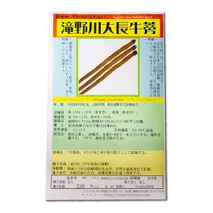 咷 ̎i ̂킨Ȃڂ Takinogawa Burdock / LN Arctium lappa L. ؂̎ c ̎ ƒ؉ L@͔| K[fjO _ | _ ` ݗ 