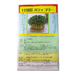 LpubR[ ubR[XvEg Broccoli Sprouts / Aui Brassica oleracea ؂̎ c ̎ ƒ؉ L@͔| K[fjO _ | _ ` ݗ v
