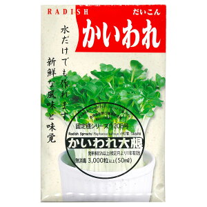 卪 Daikon Radish Sprouts/ Aui Raphanus sativus ؂̎ c ̎ ƒ؉ L@͔| K[fjO _ | _ ` ݗ v^[ S S |^WF x