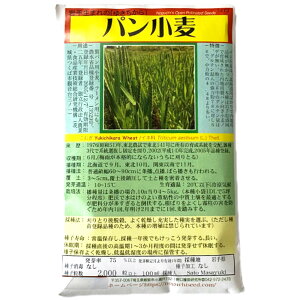 p ς񂱂ނ Yukichikara Wheat / Cl Triticum aestivum (L.) Thell. ̎i ؂̎ c ̎ ƒ؉ L@͔| K[fjO _ | _ ` ݗ v^[ 