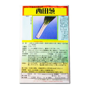 cK ɂ˂ Nishida Negi Bunching Onion / qKoi Allium Fistulosum ؂̎ c ̎ ƒ؉ L@͔| K[fjO _ | _ ` ݗ v^[ S S 