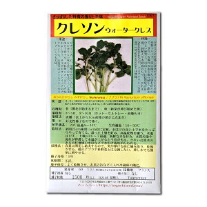 N\(EH[^[NXj 񂾂炵A݂Ȃ Watercress / Aui Nasturtium officinale n[u̎ ؂̎ c ̎ ƒ؉ L@͔| K[fjO _ | _ 