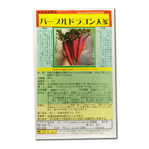 p[vhSlQ ̎i ɂ񂶂 Purple Dragon Carrot / Z Daucus carota ؂̎ c ̎ ƒ؉ L@͔| K[fjO _ | _ ` ݗ v^[ 