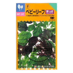 xr[[t/؂σ~bNX Ȃς݂ Baby Leaf Brassica Mix ؂̎ c ̎ ƒ؉ L@͔| K[fjO _ | _ ` ݗ v^[ S S |^W
