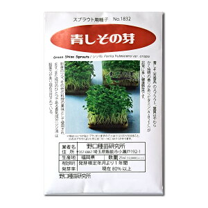 ̉XvEg ̎i Green Shiso Sprouts / V\ Perilla frutescens var. crispa ؂̎ c ̎ ƒ؉ L@͔| K[fjO _ | _ ` ݗ v^[