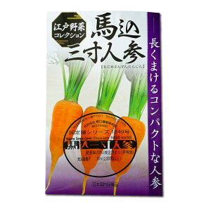 nOlQ ܂߂񂸂ɂ񂶂 Magome Sanzun Carrot / Z Daucus carota ̎i ؂̎ c ̎ ƒ؉ L@͔| K[fjO _ | _ ` ݗ v