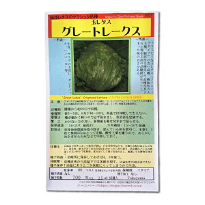 O[g[NX ^X@`Great Lakes` Crisphead Lettuce / LN Lactuca sativa ̎i ؂̎ c ̎ ƒ؉ L@͔| K[fjO _ | _ ` ݗ v^