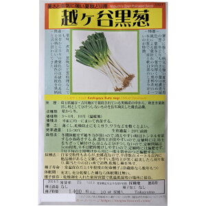 zJK ₭˂ Koshigaya Kuro negi /qKoi Allium fistulosum Ṽׂ^l ̎i ؂̎ c ̎ ƒ؉ L@͔| K[fjO _ | _ ` 