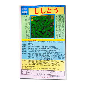 Ƃi엿͔|qjq Shishito Sweet Pepper / iX Capsicum annuum var. angulosum 엿͔|q Ṽׂ^l ̎i ؂̎ c ̎ ƒ؉ L@͔| K[fjO 